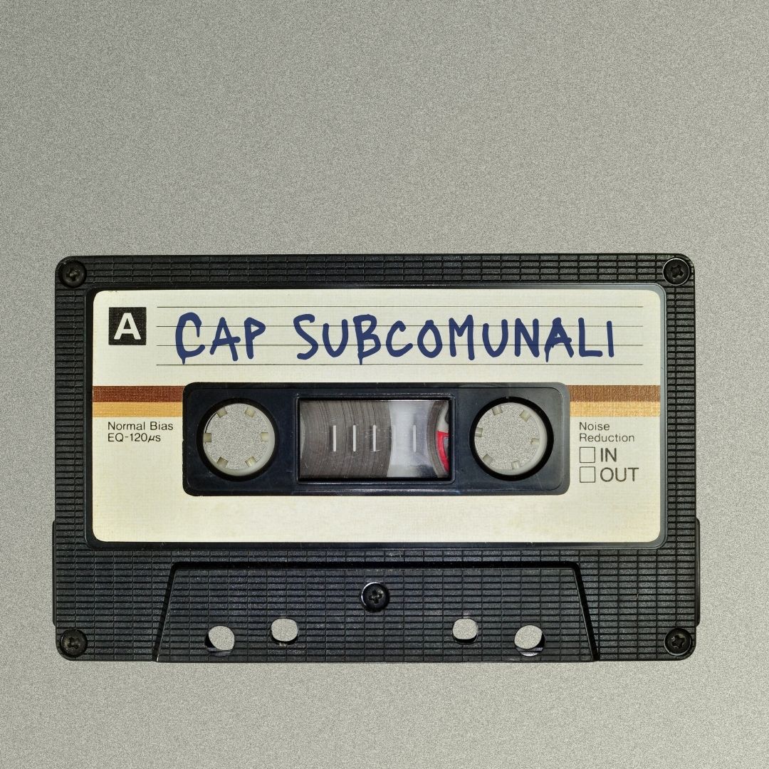 Copertina: Dataset CAP subcomunali Italia 2025: struttura e qualità