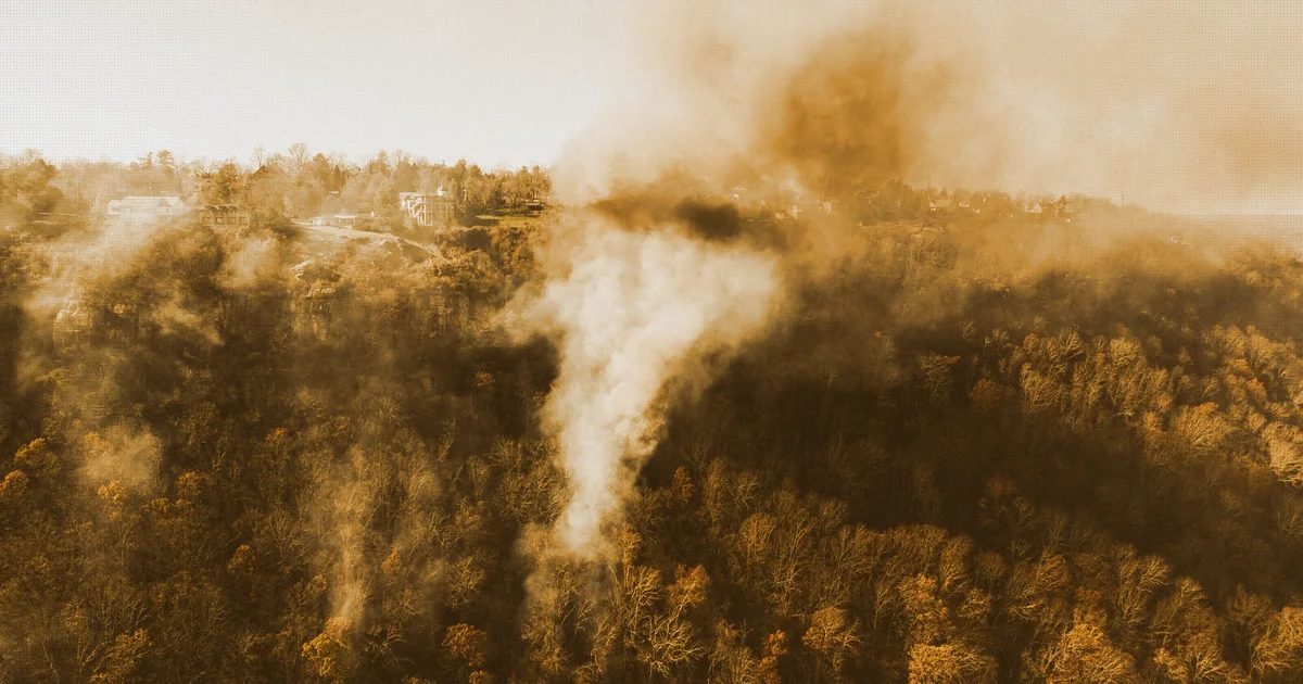 Immagine di copertina per: Catasto Incendi 2025: Come Verificare se la Tua Particella è Percorsa dal Fuoco