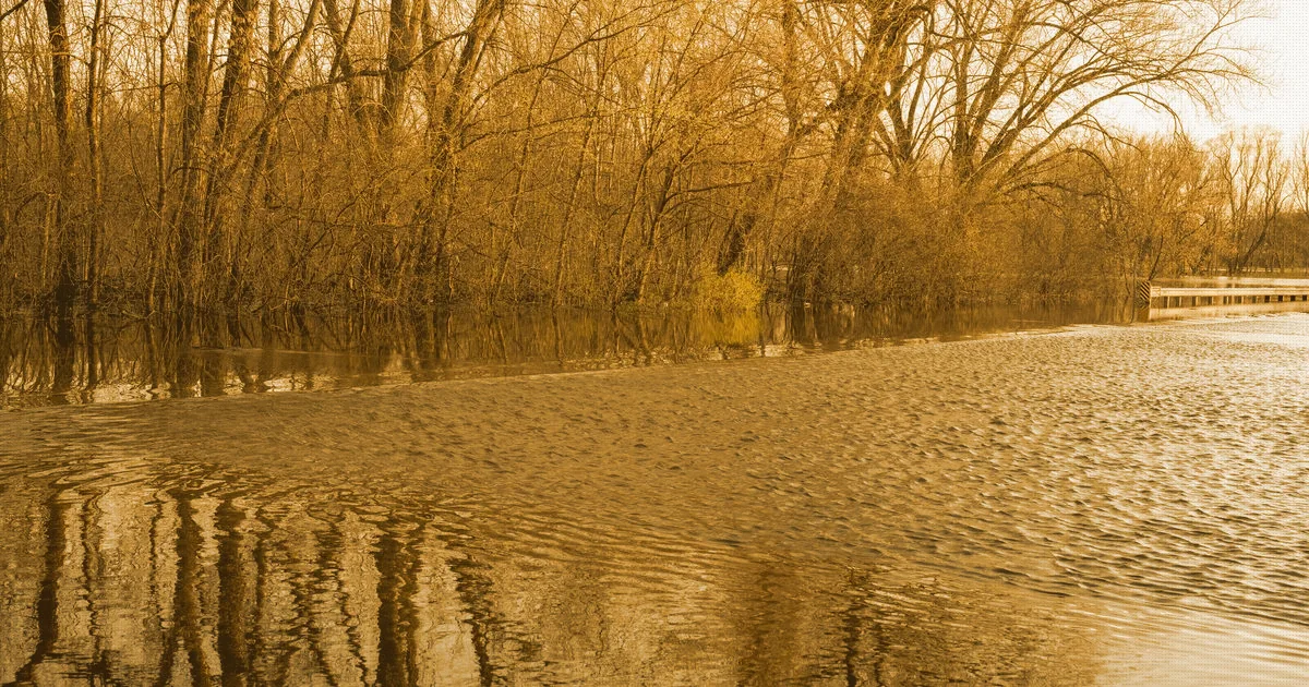 Copertina: Danni da alluvione: come documentarli per il risarcimento