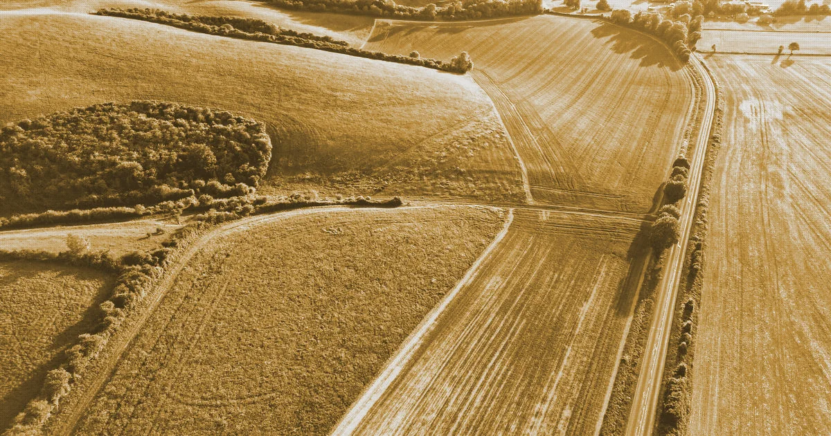 Copertina: Indice di edificabilità: cos'è, dove trovarlo, come verificarlo