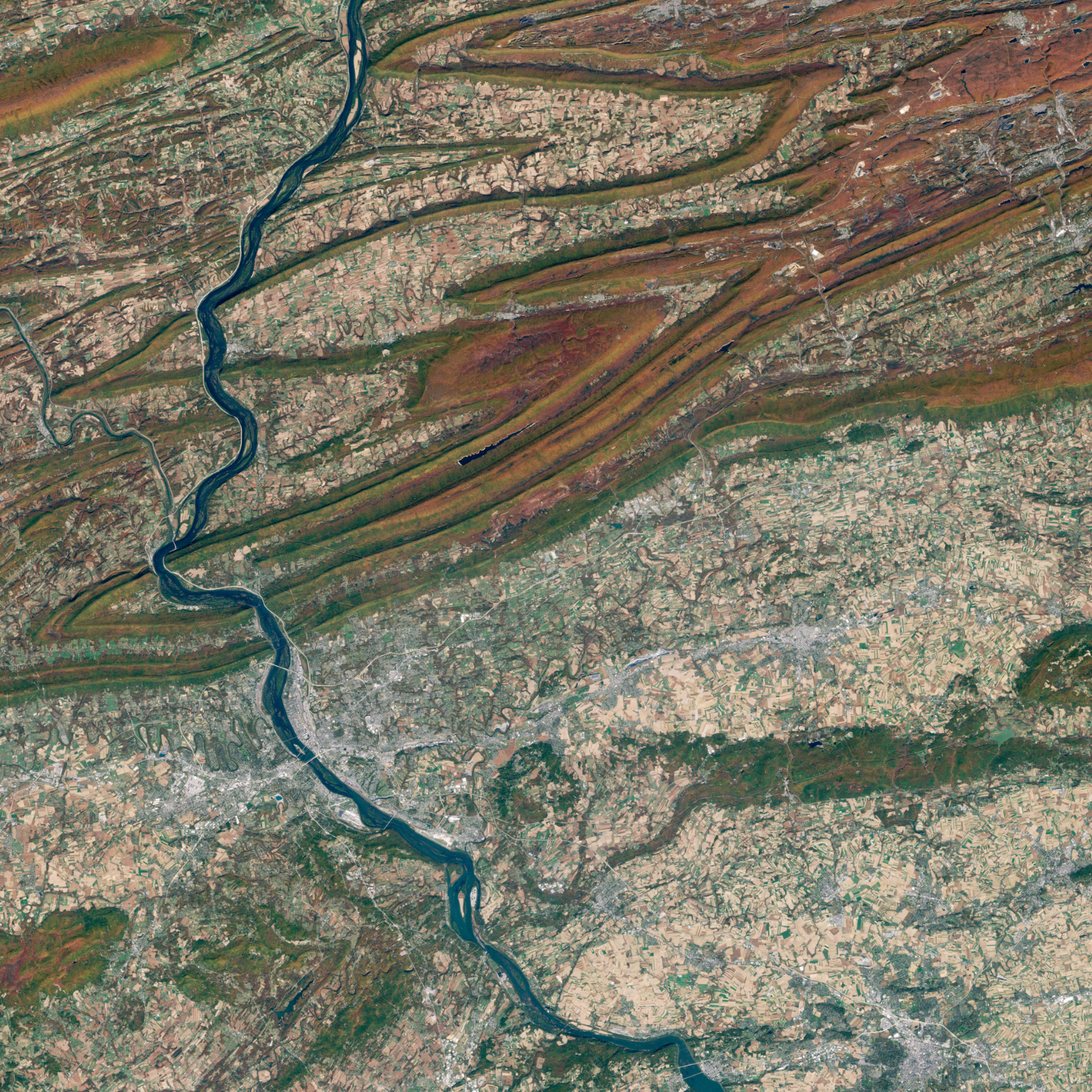 Copertina: RFP sviluppo software GIS: cosa chiedere a un fornitore (guida pratica 2026)