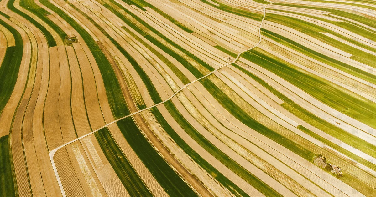 Immagine di copertina per: Piano Regolatore: Come Si Legge in 5 Passi