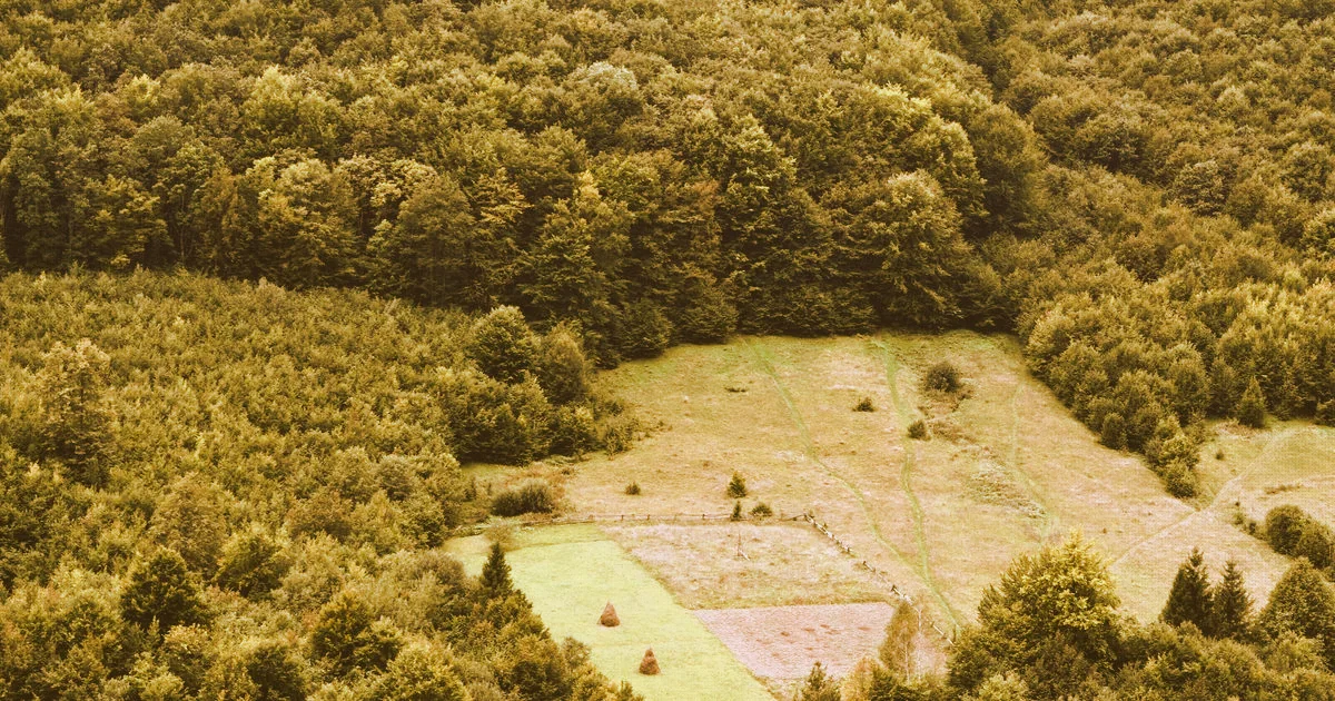 Immagine di copertina per: SCIA Edilizia e i 30 Giorni: Cosa Può Fare il Comune Dopo